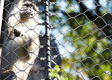 316 Stainless Steel animal enclosure mesh For Monkey